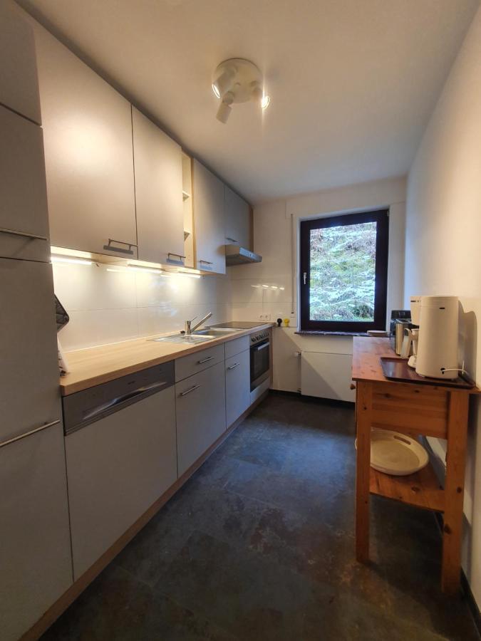 Grosses Ferienhaus Sauerburgblick Sauerthal Eksteriør billede