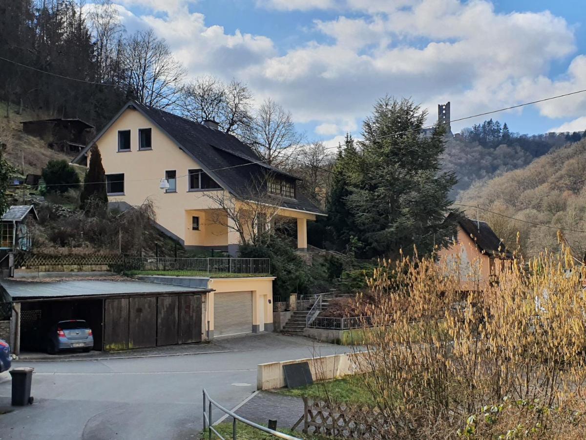 Grosses Ferienhaus Sauerburgblick Sauerthal Eksteriør billede